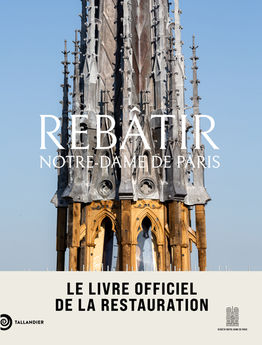 REBATIR NOTRE DAME DE PARIS