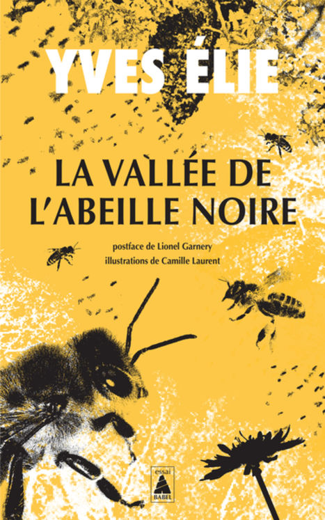 VALLEE DE L´ABEILLE NOIRE - ILLUSTRATIONS, NOIR ET BLANC