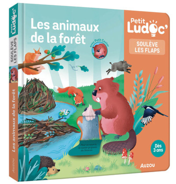 P´TIT LUDOC - SOULEVE LES FLAPS : LES ANIMAUX DE LA FORET