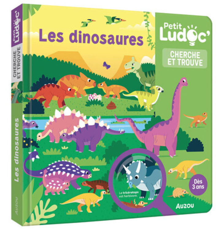 P´TIT LUDOC - CHERCHE ET TROUVE : LES DINOSAURES