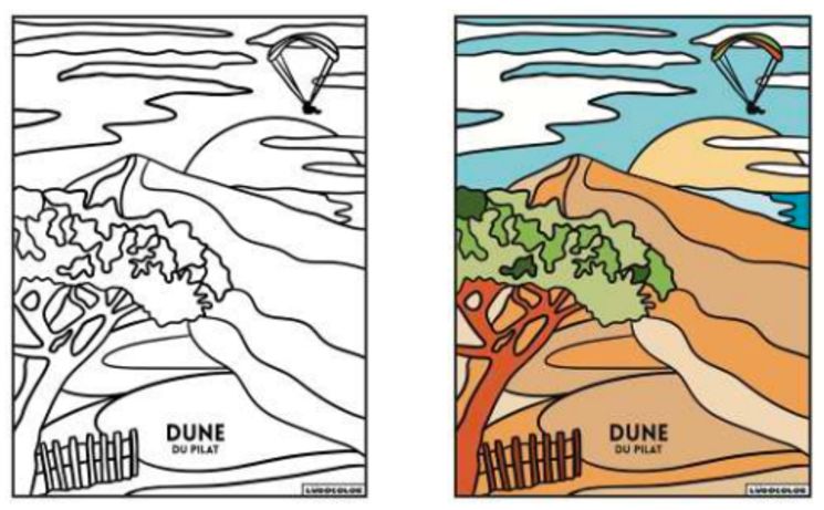TABLEAU VELOURS DUNE DU PILAT  - PVC 10.90€