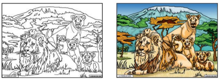 TABLEAU VELOURS FAMILLE LION - PVC 10.90€