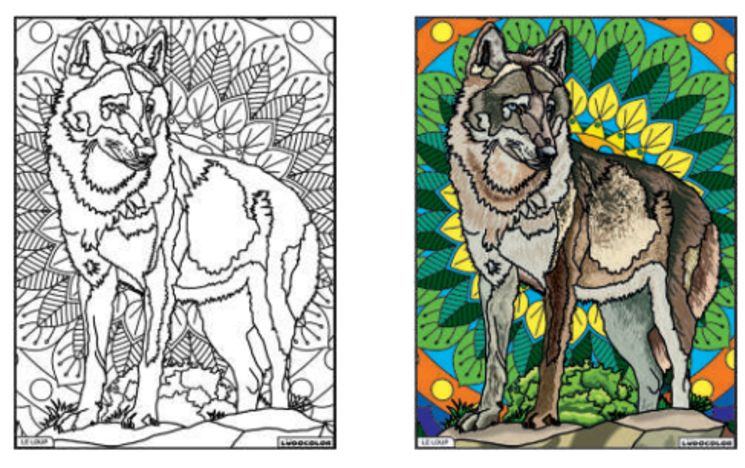 TABLEAU VELOURS LE LOUP - PVC 10.90€