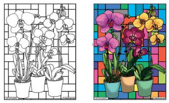 TABLEAU VELOURS LES ORCHIDEES - PVC 10.90€