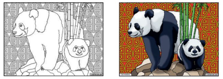 TABLEAU VELOURS LES PANDAS - PVC 10.90€
