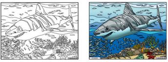 TABLEAU VELOURS LE REQUIN - PVC 10.90€