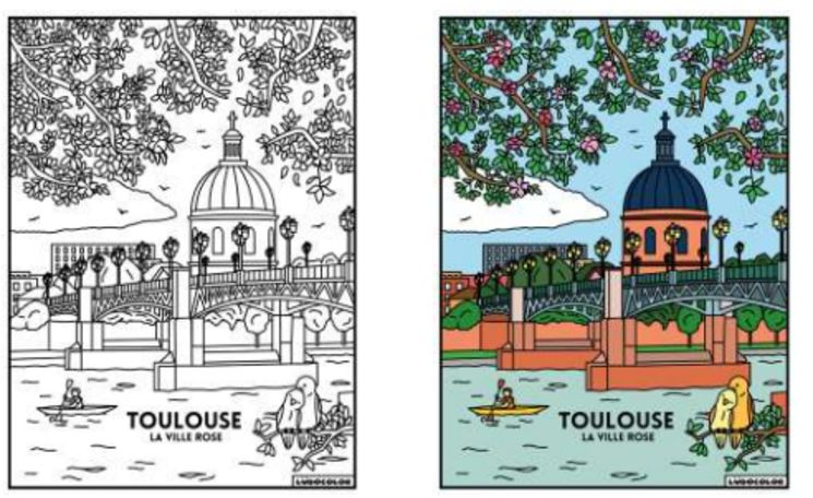TABLEAU VELOURS TOULOUSE - PVC 10.90€