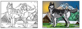 TABLEAU VELOURS LE HUSKY - PVC 10.90€