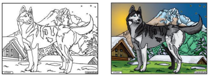 TABLEAU VELOURS LE HUSKY - PVC 10.90€