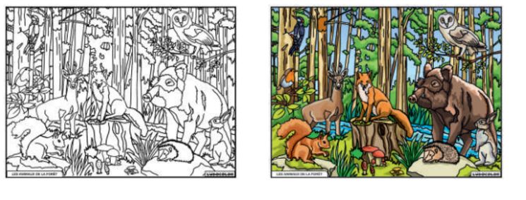 TABLEAU VELOURS LES ANIMAUX DE LA FORET - PVC 10.90€