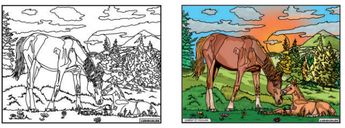 TABLEAU VELOURS JUMENT ET POULAIN - PVC 10.90