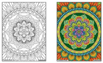 TABLEAU VELOURS MANDALA FLORAL PVC 10.90