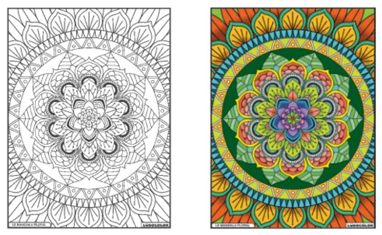 TABLEAU VELOURS MANDALA FLORAL PVC 10.90