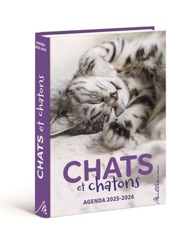 AGENDA 2025-2026 CHATS ET CHATONS