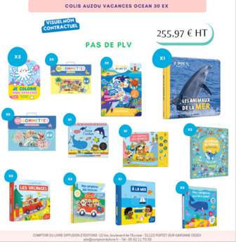 COLIS AUZOU VACANCES OCEAN 29 EX JUIN 2025 CDL480