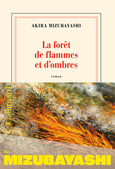 FORET DE FLAMMES ET D´OMBRES