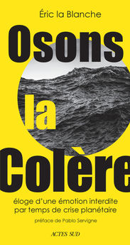 OSONS LA COLERE - ELOGE D´UNE EMOTION INTERDIRE PAR TEMPS DE CRISE ECOLOGIQUE
