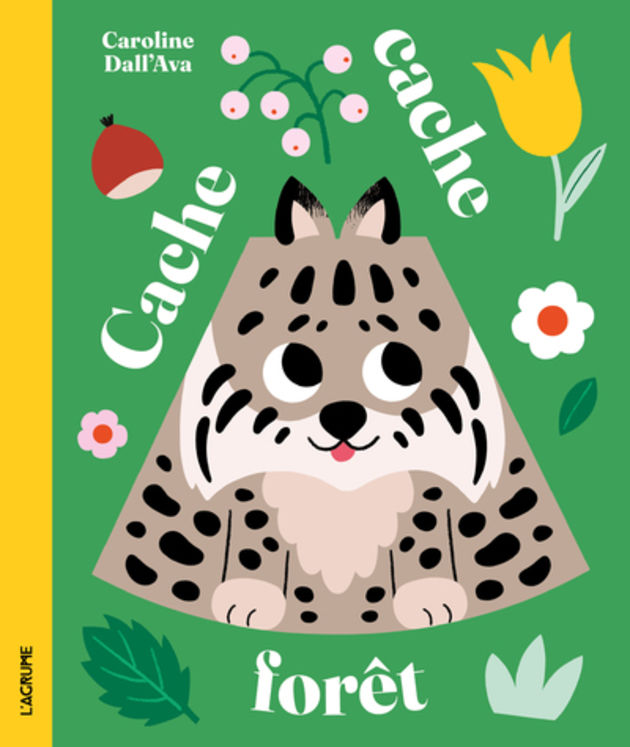 CACHE-CACHE FORET