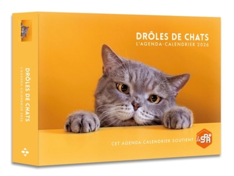 AGENDA - CALENDRIER DROLES DE CHATS 2026