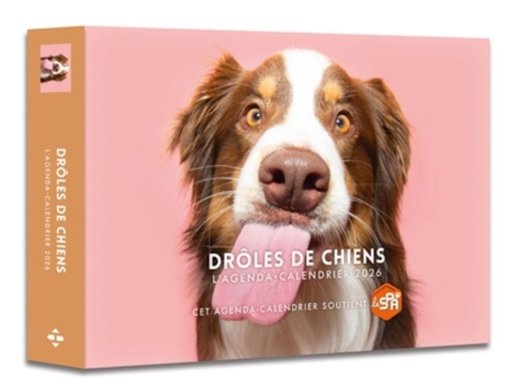 AGENDA - CALENDRIER DROLES DE CHIENS 2026