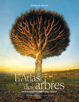 L´ATLAS DES ARBRES - UN INCROYABLE TOUR DU MONDE VEGETAL