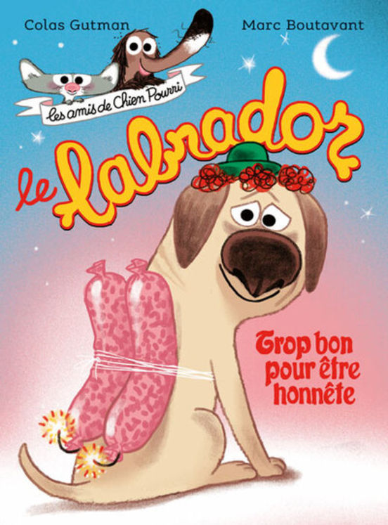 LABRADOR - TROP BON POUR ETRE HONNETE
