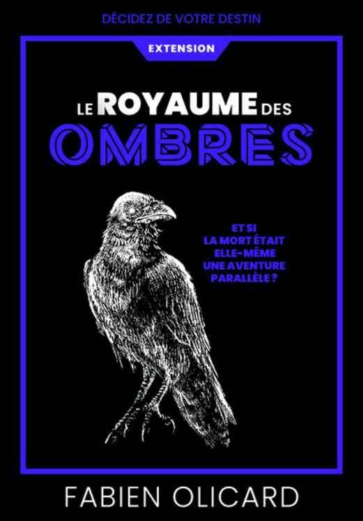 LE ROYAUME DES OMBRES - DECIDEZ DE VOTRE DESTIN - LA SAGA DE DAGDA