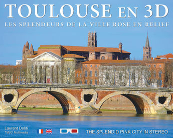 TOULOUSE EN 3D - LES SPLENDEURS DE LA VILLE ROSE EN RELIEF - EDITION BILINGUE