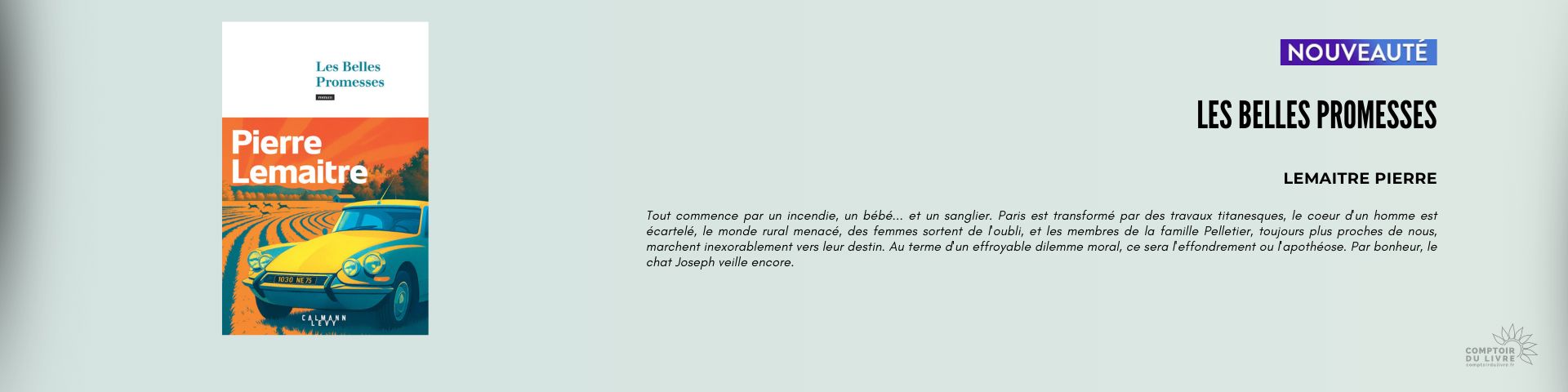 LES BELLES PROMESSES