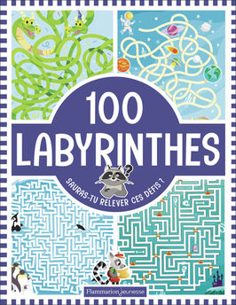 100 LABYRINTHES - SAURAS-TU RELEVER CES DEFIS ?
