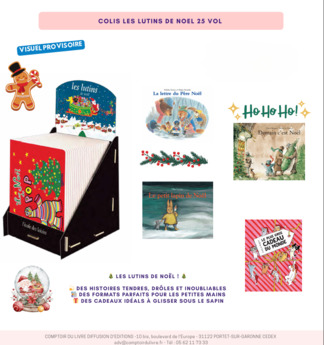 COLIS LUTINS DE NOEL - NOV 25 - CDL519 / 25 VOL.