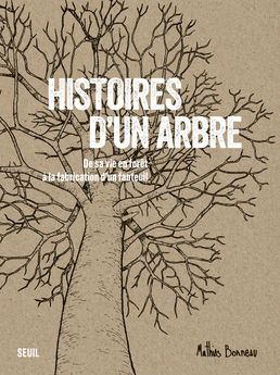 HISTOIRES D´UN ARBRE