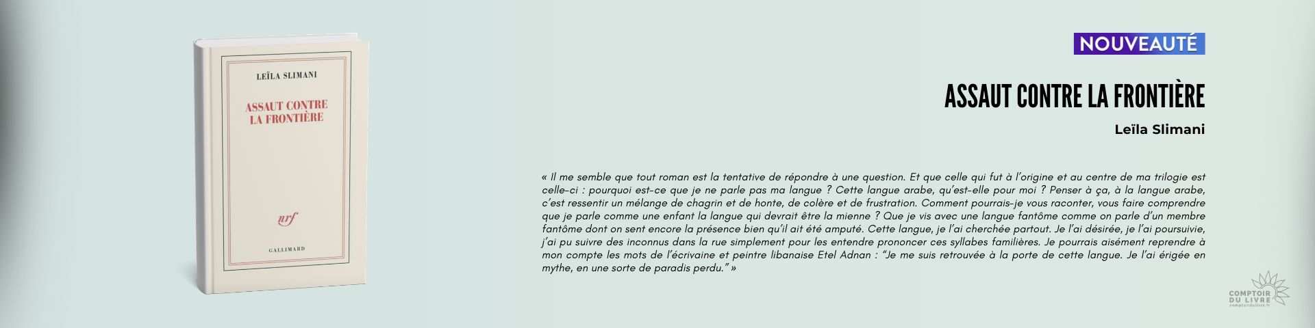 ASSAUT CONTRE LA FRONTIERE