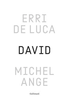 DAVID, MICHEL-ANGE - ENQUETE SUR UNE DISPROPORTION