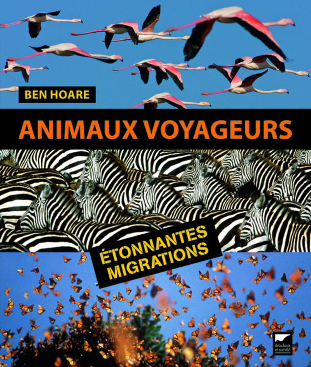 ANIMAUX VOYAGEURS-ETONNANTES MIGRATIONS
