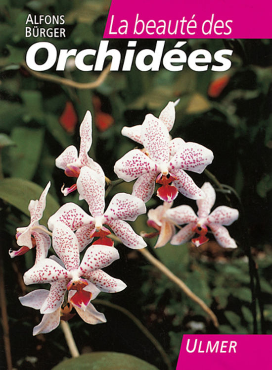 BEAUTE DES ORCHIDEES