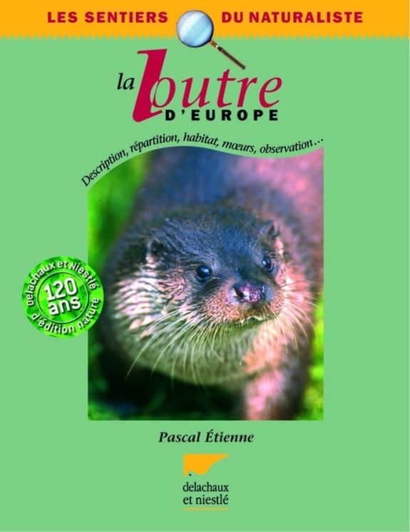 LOUTRE D'EUROPE
