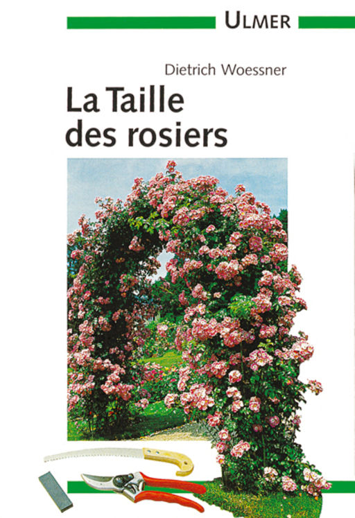 TAILLE DES ROSIERS