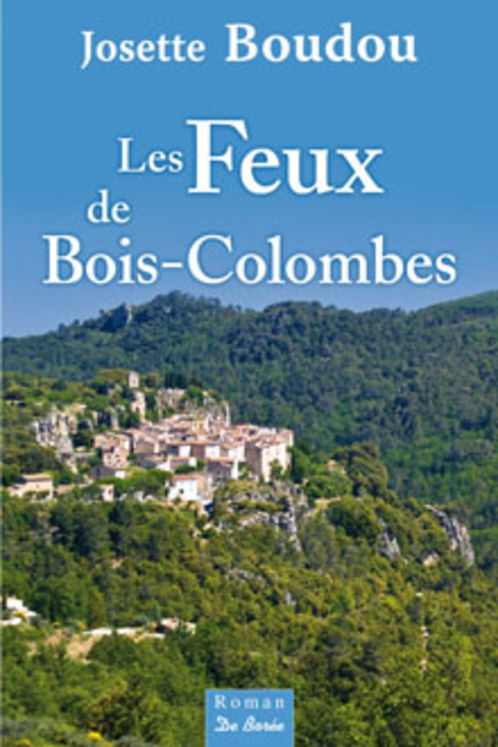 FEUX DE BOIS - COLOMBE (LES)