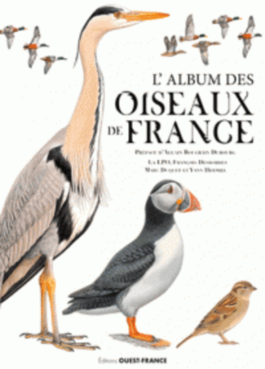 GRAND ALBUM DES OISEAUX DE FRANCE