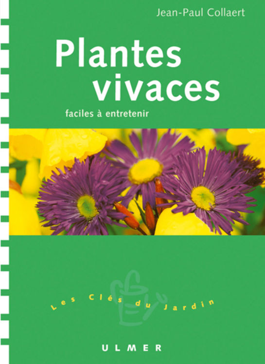 PLANTES VIVACES