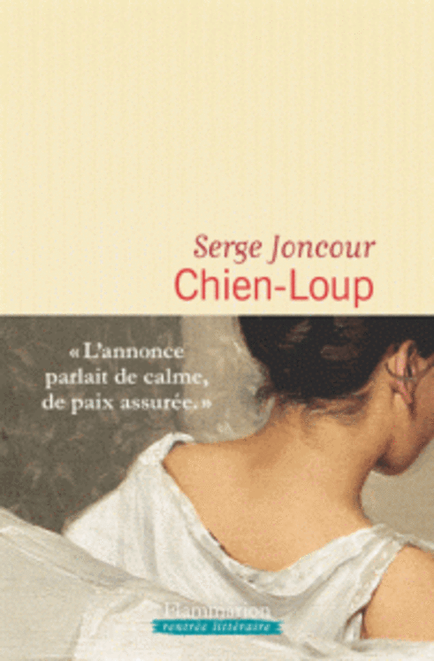 CHIEN - LOUP