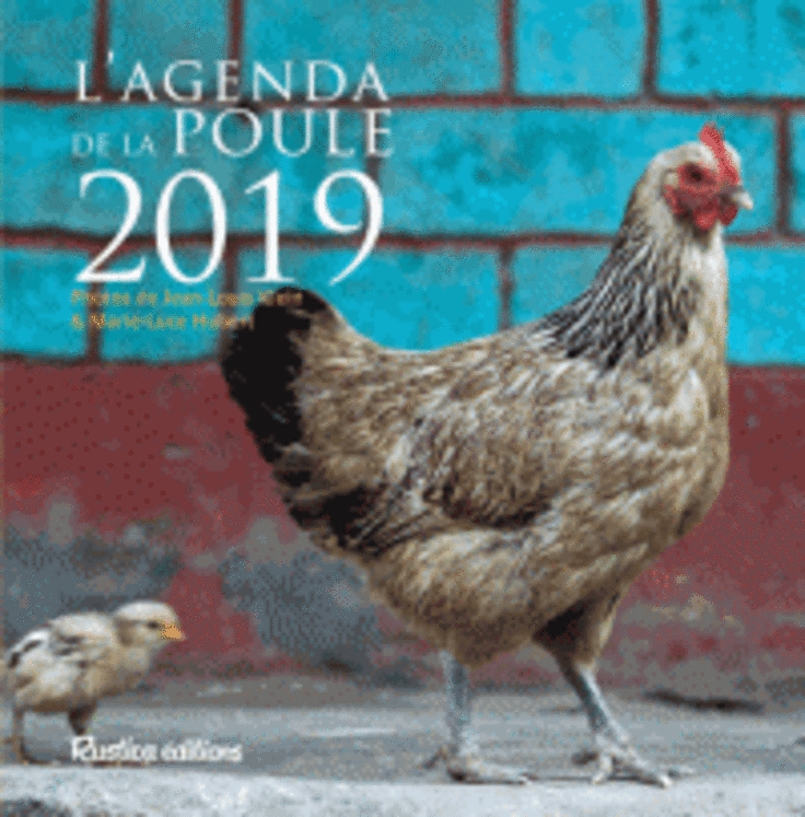 AGENDA DE LA POULE 2019