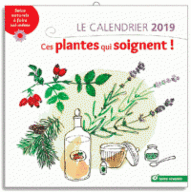 CALENDRIER 2019 CES PLANTES QUI SOIGNENT (LE)