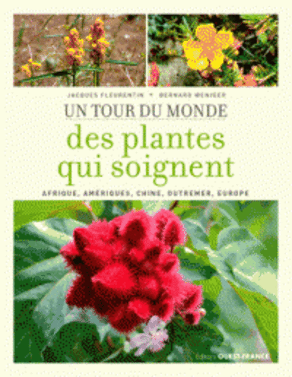 TOUR DU MONDE DES PLANTES QUI SOIGNENT