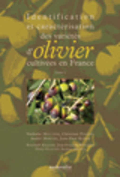 IDENTIFICATION ET CARACTERISATION DES VARIETES D OLIVIERS CULTIVEES EN FRANCE T1