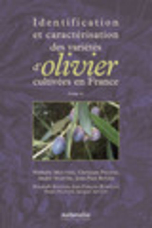 IDENTIFICATION ET CARACTERISATION DES VARIETES D OLIVIERS CULTIVEES EN FRANCE T2
