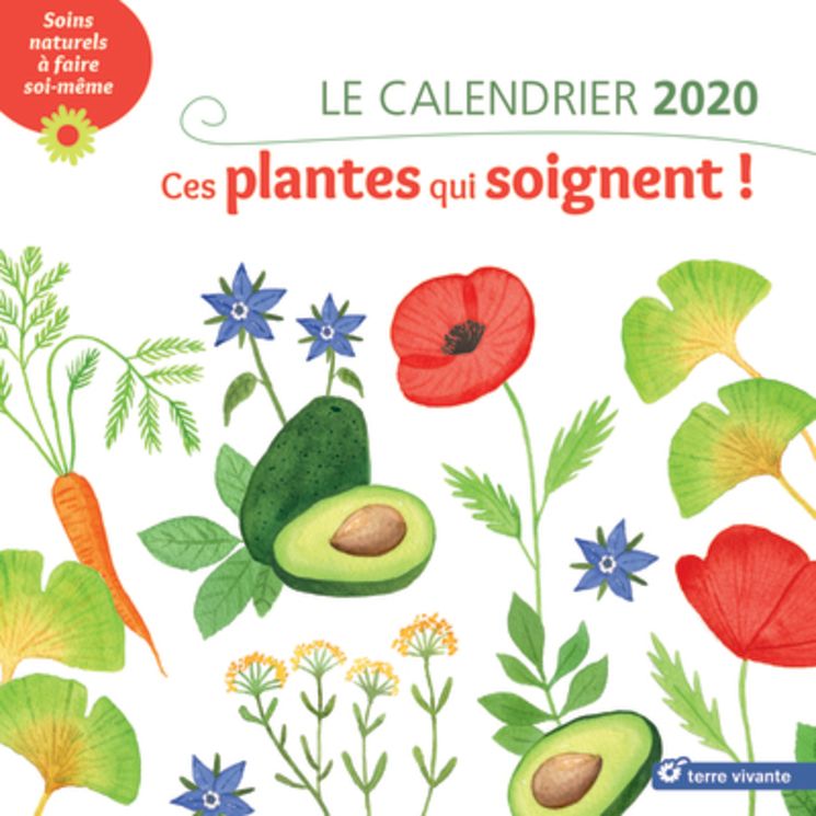 CALENDRIER 2020 - CES PLANTES QUI SOIGNENT !
