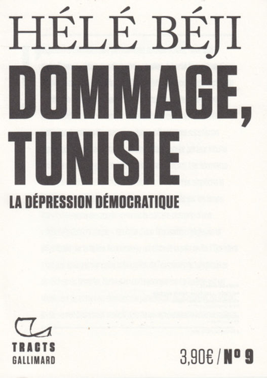 DOMMAGE, TUNISIE - LA DEPRESSION DEMOCRATIQUE