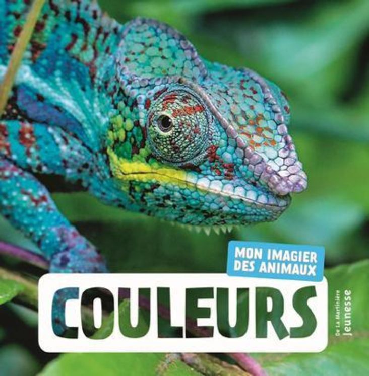 COULEURS - MON IMAGIER DES ANIMAUX